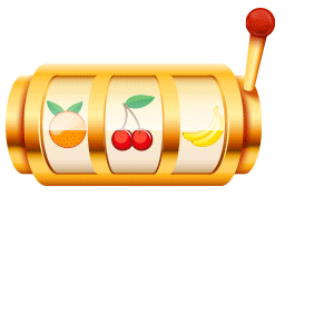 wg6 destaque especial